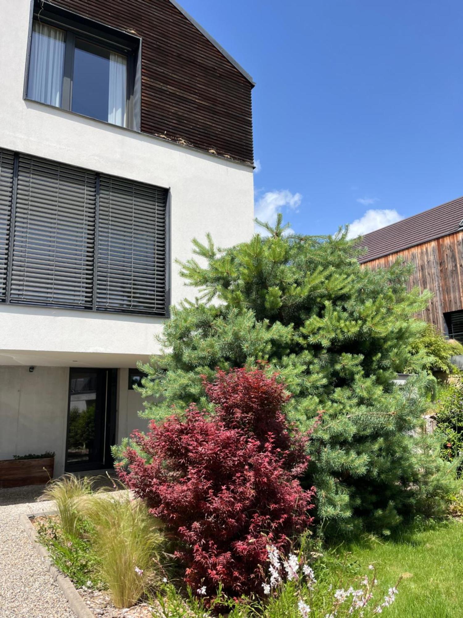 Chambre Double 2 P Luxe Aux Vignes Lovees, Entree Independante Riquewihr Bagian luar foto